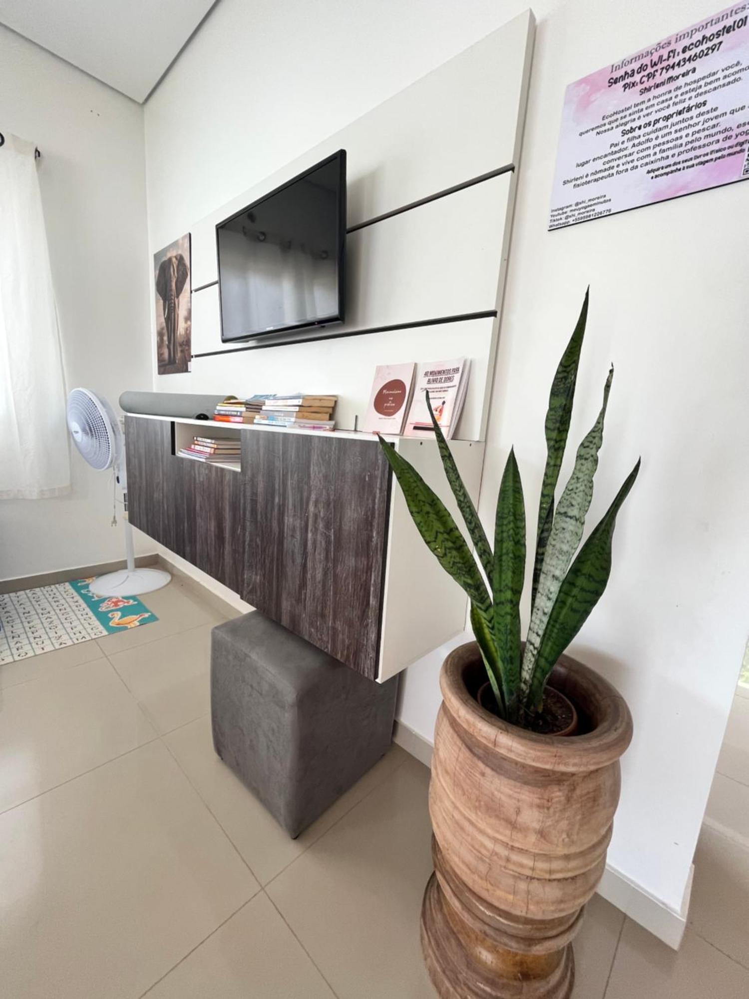 Hostel Ecohostel 보아 비스타 외부 사진